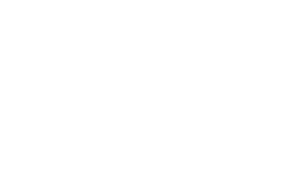 Wings Etc.